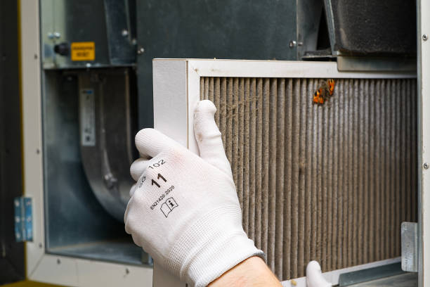 Best Affordable Air Duct Cleaning  in Allen, TX