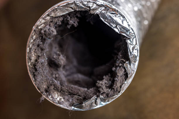 Best Commercial Air Duct Cleaning  in Allen, TX